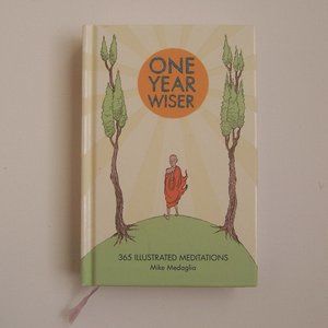 ONE YEAR WISER - 365 Illustrated Meditations Book